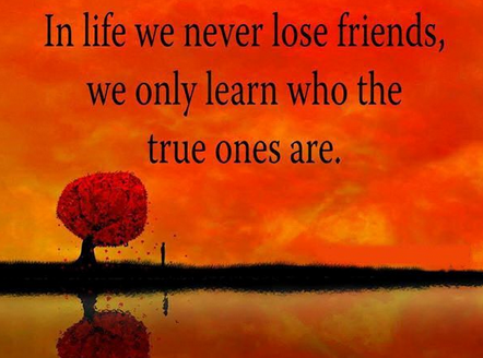 Top 100 Friendship Day Quotes in English to Share with Best Friends ...