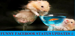 FUNNY FACEBOOK STATUS UPDATES FB STATUS
