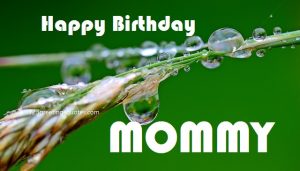 mom birthday quotes with picture