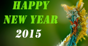Happy-new-year-2015-wishes-images-wallpapers-pics-pictures-messages