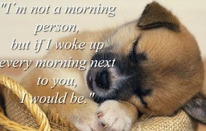 best-good-morning-images-for-perfect-love