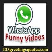 4 Very Peculiar Amazing Videos You Must Watch Whatsapp Small Wonder ...