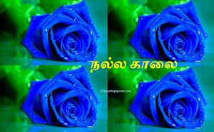 good morning tamil kavithaigal