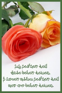 telugu quotes with pictures on life