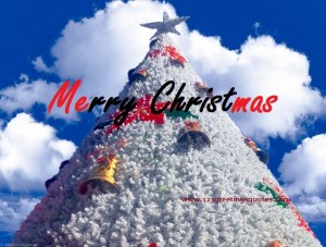 Merry Christmas Greeting Quote