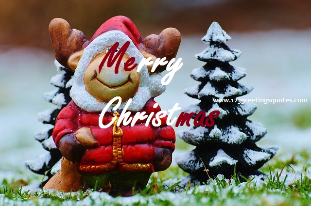 Merry Christmas Greetings Quotes - 37 Great Wishes