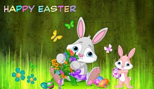 Easter Bunny Pictures HD