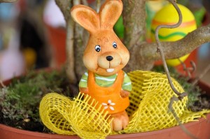 Easter Bunny wallpapers HD
