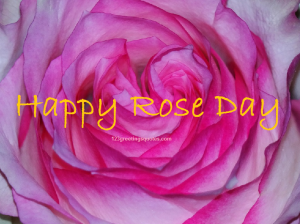 Happy Rose Day Images in Hindi greetings