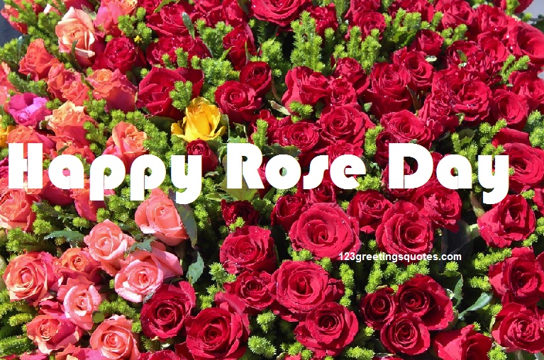 Happy Rose Day  Wishes
