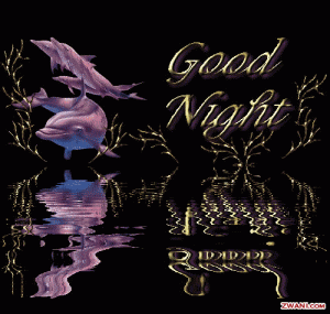 Good Night Gif Images For Whatsapp 4