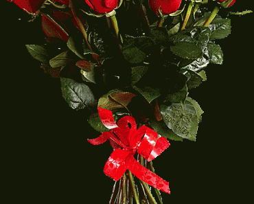 animated flower gif free download 1