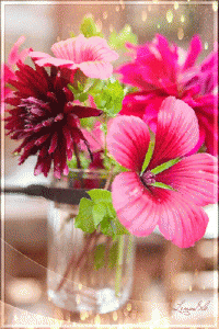 beautiful animated gif flowers blooming 4