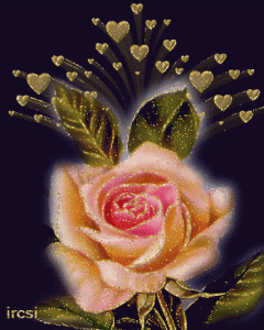 romantic animated gif flowers blooming