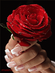 rose animated flower gif free download for love 5