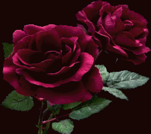 rose flower animated gif 5