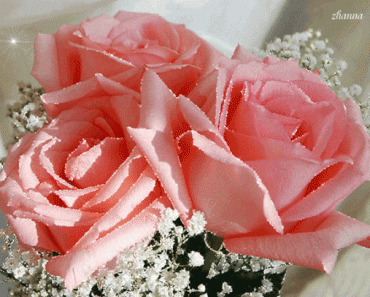 rose flower bouquet gif 5