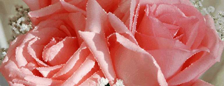 rose flower bouquet gif 5